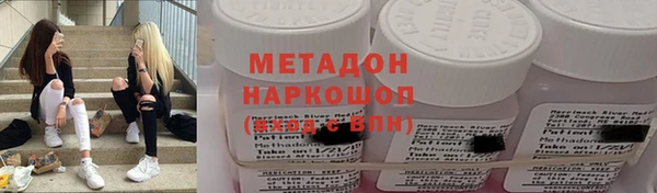 прущие грибы Нефтекумск