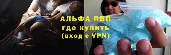 прущие грибы Нефтекумск
