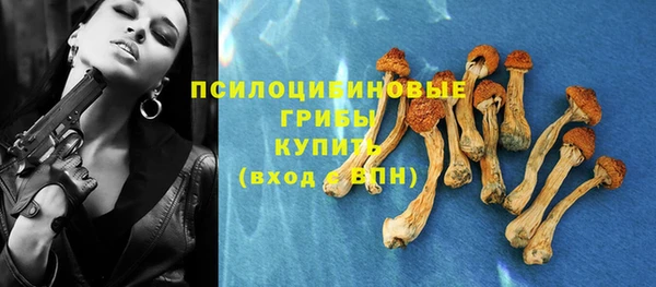 МДПВ Нефтегорск