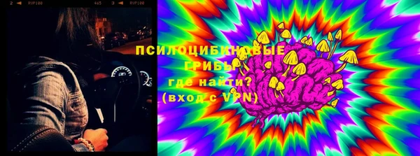 МДПВ Нефтегорск