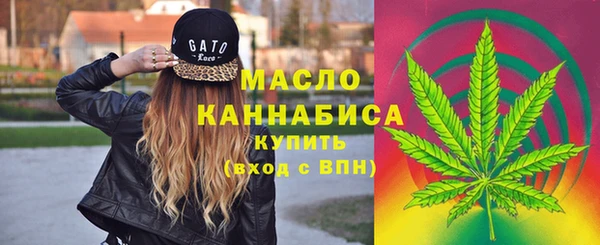 МДПВ Нефтегорск