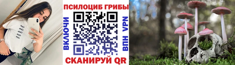 Галлюциногенные грибы прущие грибы  Яровое 