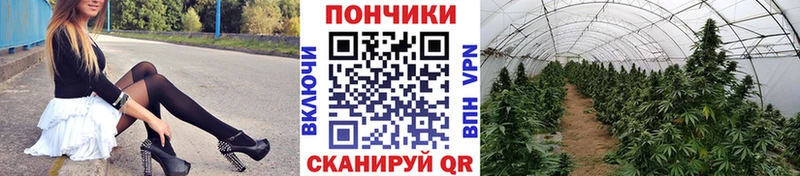 Бошки Шишки Amnesia  omg рабочий сайт  Яровое 